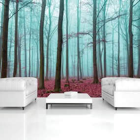 Fotótapéta - Erdő (152,5x104 cm)