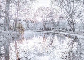 Poszter 59,4x42cm Csatorna fákkal, Assaf Frank