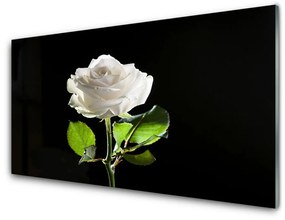 Üvegkép Rózsa Virág növény természet 120x60cm