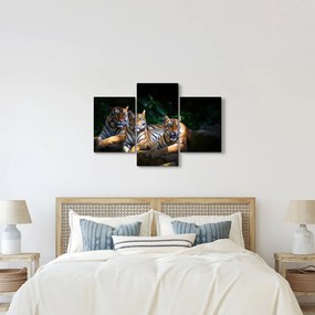 Kép - Tigris testvérek (90x60 cm)