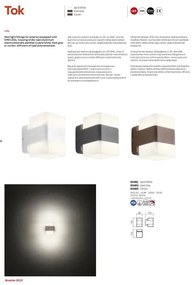 Redo 90492 - LED Kültéri fali lámpa TOK LED/14,8W/230V IP44 antracit