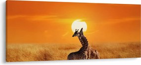 Kép - Zsiráfok a Serengeti Nemzeti Parkban (120x50 cm)
