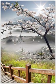 Poszterek 80x120 Japán Virágzó cseresznye