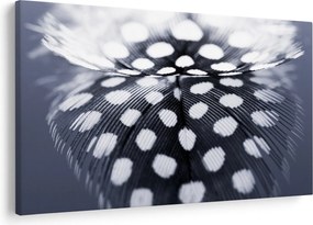 Kép - Toll (90x60 cm)
