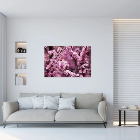 Kép - Rózsaszín sakura (90x60 cm)