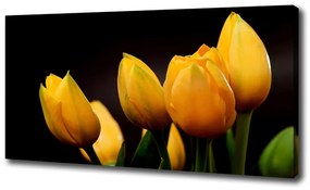 Egyedi vászonkép Sárga tulipánok oc-64836622