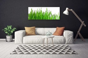 Vászonkép falra Grass Nature Plant 140x70 cm