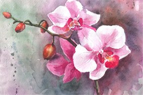 Kép - Orchideák, akvarell (90x60 cm)