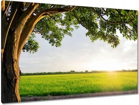 Festmények 120x80 Misztikus naplemente