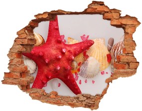 Fali matrica lyuk a falban Starfish és kagylók nd-c-75838454