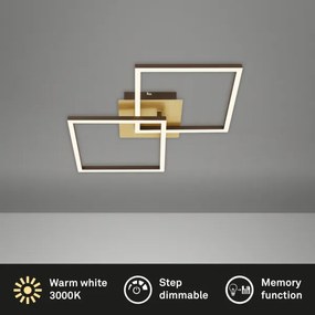 Briloner 3210-017 - LED dimmelhető mennyezeti lámpa FRAME 2xLED/11W/230V arany
