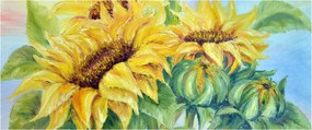 Virágzó napraforgó képe (120x50 cm)