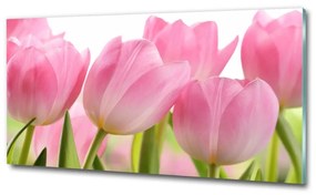 Egyedi üvegkép Rózsaszín tulipánok osh-76775867