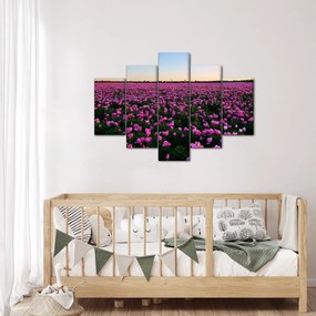 Kép - lila tulipánok rétje (150x105 cm)