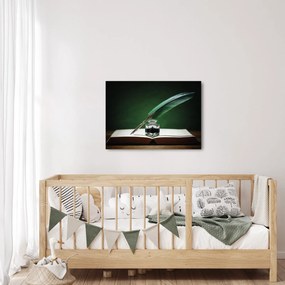 A toll képe (70x50 cm)