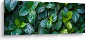 Kép - Zöld növények (órával) (90x30 cm)
