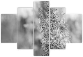 Kép - Boho pampafű (150x105 cm)