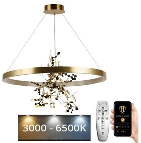 NEDES LED Dimmelhető csillár zsinóron LED/55W/230V 3000-6500K arany + távirányítás ND3514