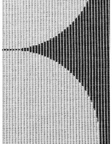 Fekete-fehér kültéri-beltéri futószőnyeg 80x250 cm Duet Bowen – NORTHRUGS