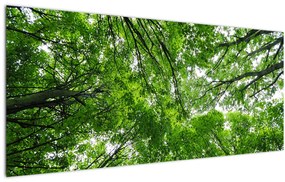 Kép - Kilátás a fák tetejére (120x50 cm)