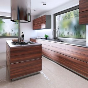 Ablakmatrica 200x40 cm Dandelions – Ambiance