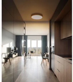 Globo 12381-22 - LED Mennyezeti lámpa TIBEY LED/22W/230V átm. 35 cm