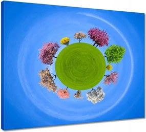 Vászonkép 50x40 Fa Fák Kilátás