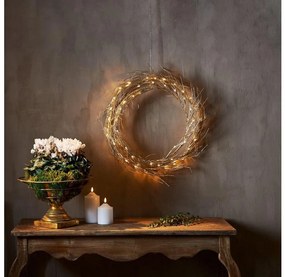 Eglo 411421 - LED Karácsonyi dekoráció FIZZY 50xLED/0,06W/5/230V