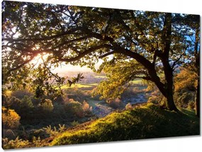 Festmények 120x80 Kilátás a völgyre