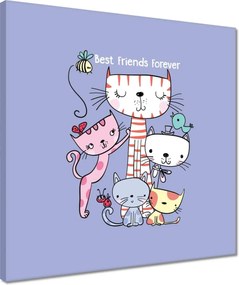 Vászonkép 40x40 Cica Cicák Macskák