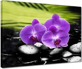 Vászonkép 40x30 Orchideák a köveken