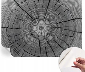 Fotótapéta Fali tapéta Hálószobába és Nappaliba Erdei harmónia 208x146 cm