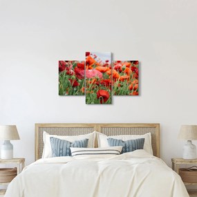 Egy kép a pipacs mezőről (90x60 cm)