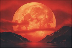 Dekoratív fotótapéta falra Egyszerű összeszerelés Éjszakai jelenség 104x70 Ragasztó