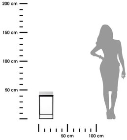 BASICLOFT virágtartó állvány 40x24 cm fekete