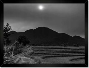 Poszterek keretben 40x30 Kilátás a rizsföldekre