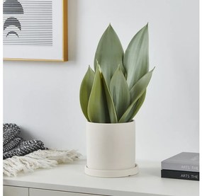 Eglo 428387 - Műnövény virágcserépben TOBETSU 41,5x28,5 cm