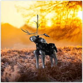 Poszterek 70x70 Chopper az erdőn