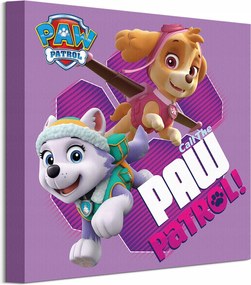 Mancs Őrjárat Everest Eve és Skye vászonkép 30x30 cm