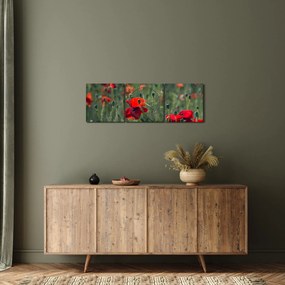Kép - Rét mák virággal (órával) (90x30 cm)