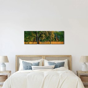 Zsiráf a természetben képe (órával) (90x30 cm)