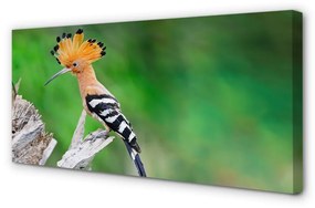 Canvas képek Fa színes papagáj 100x50 cm