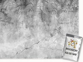 Fotótapéta Pálmalevelek Beton Tollak Hálószoba Nappali Tapéta 250x175