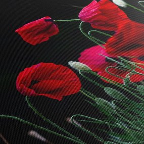 Kép - Pipacsok tánca (órával) (90x30 cm)