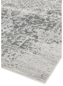 Szürke szőnyeg 160x230 cm Nova – Asiatic Carpets