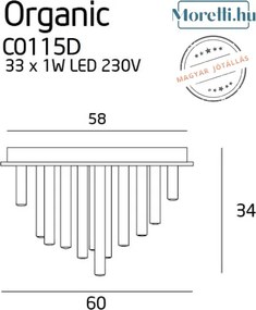 Mennyezeti Lámpa Króm ORGANIC MAXLIGHT C0115D