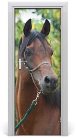 Ajtó tapéta Portré egy ló 75x205 cm