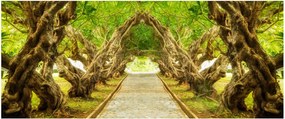 Kép - Plumeria élő alagútja (120x50 cm)