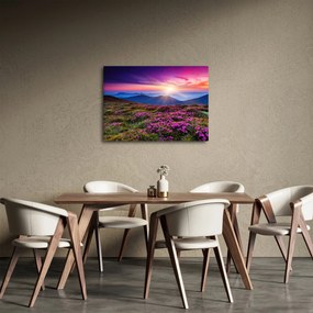 Kép - Hegyi virágzó táj (70x50 cm)
