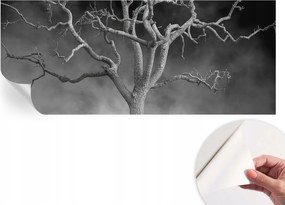 Modern öntapadós fotótapéta Mosható Ködös fa 250x104 cm